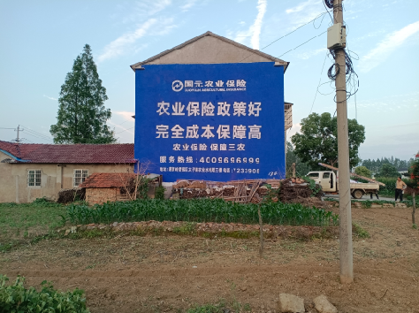 阜宁县墙体广告为何受追捧？